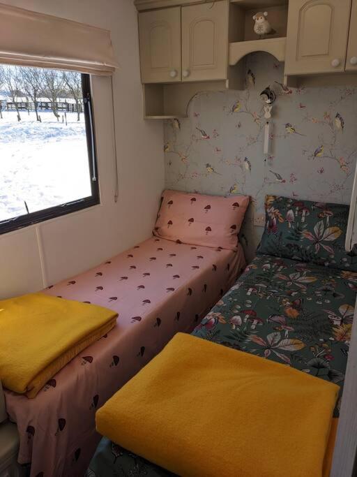 Ferny Roost Cabin. Wrexham Luaran gambar